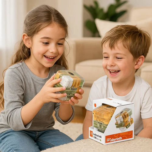3D Labyrinth Puzzle Cube RosaVeria